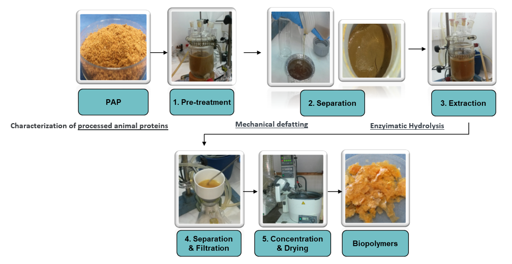 bioprocess_in_laboratory2.png