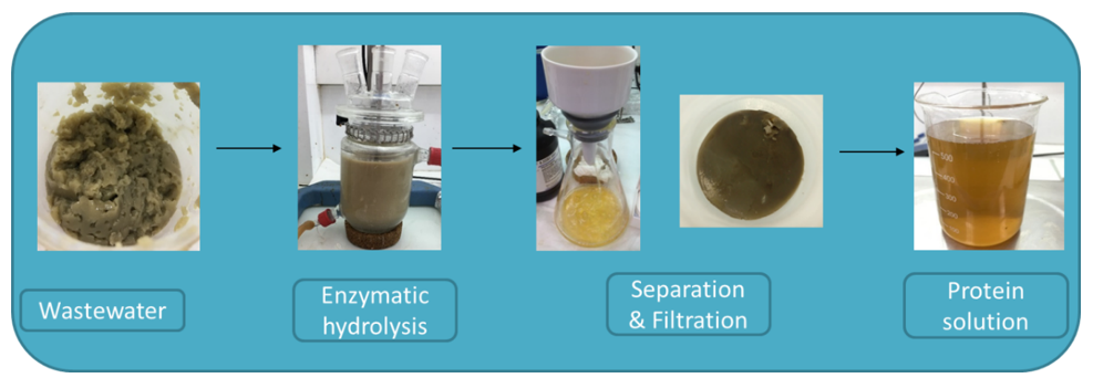 bioprocess_in_laboratory3.png