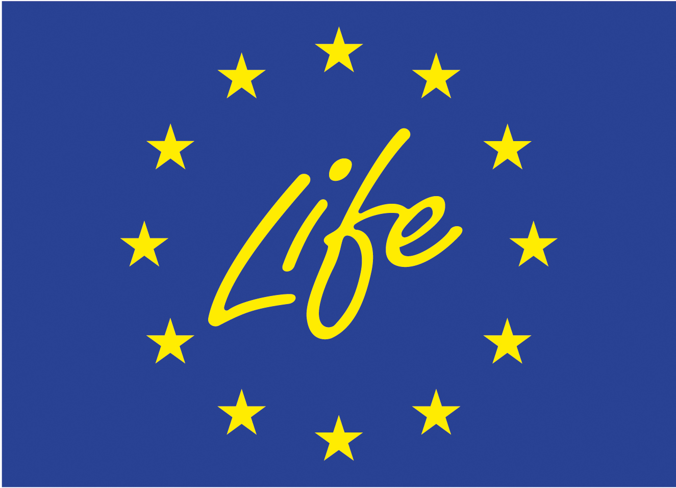 life.jpg